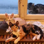 - Le Befoigneu Apartment Ferdrupt
