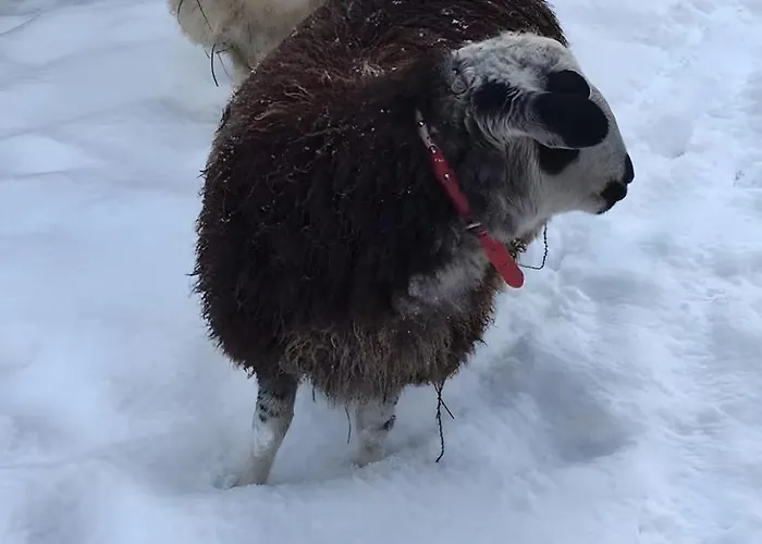 - Le Befoigneu * Ferdrupt