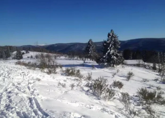 公寓 - Le Befoigneu *