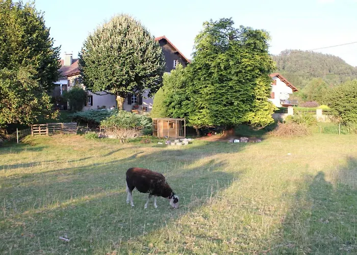 - Le Befoigneu Ferdrupt